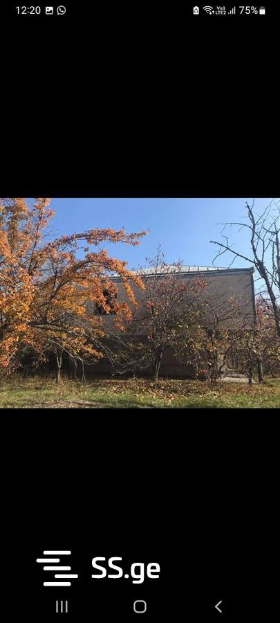 7 Room Private House For Sale view 12