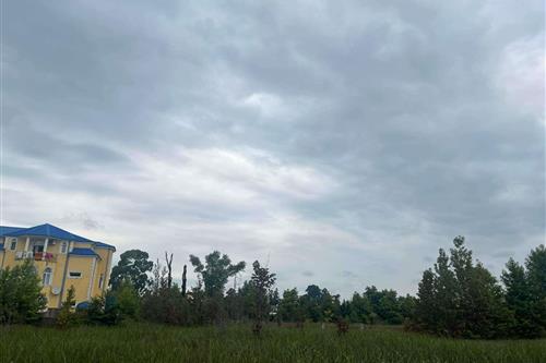Land For Sale. Ureki