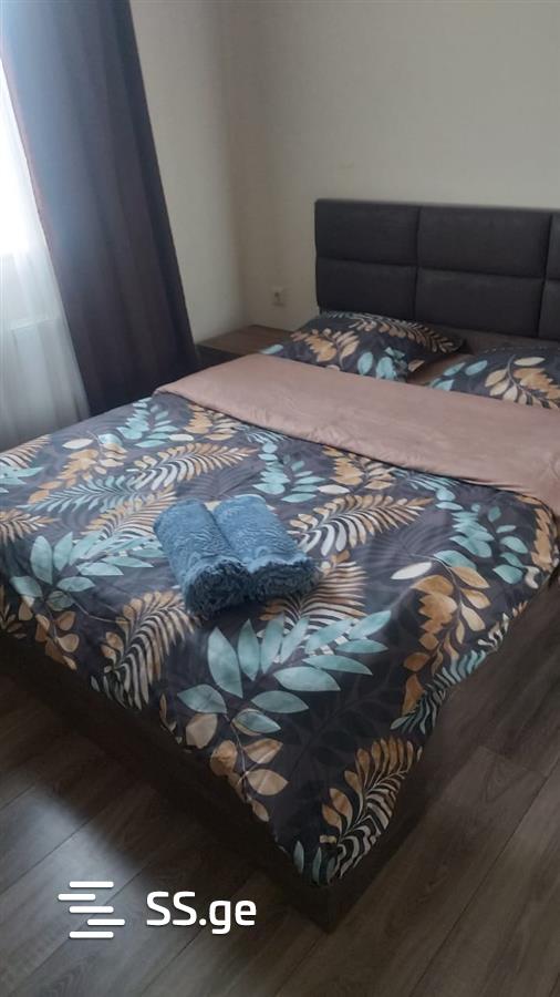 3 Room Flat Daily Rent. Didube view 10