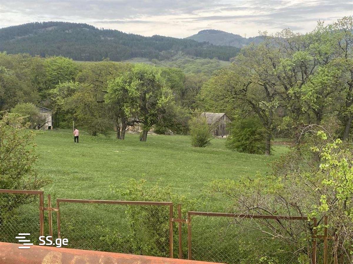 Land For Sale. Gudauri view 1