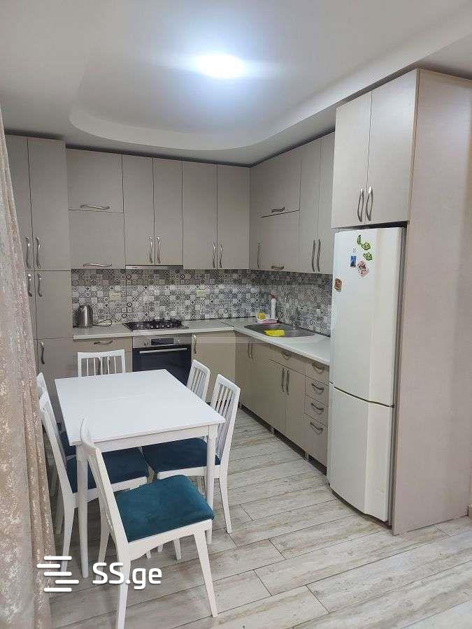 7 Room Private House Daily Rent. Saguramo view 8