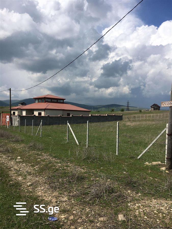 Land For Sale. Bazaleti view 11