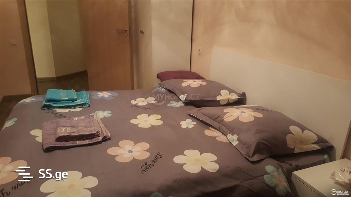 2 Room Flat Daily Rent. Nadzaladevi view 1