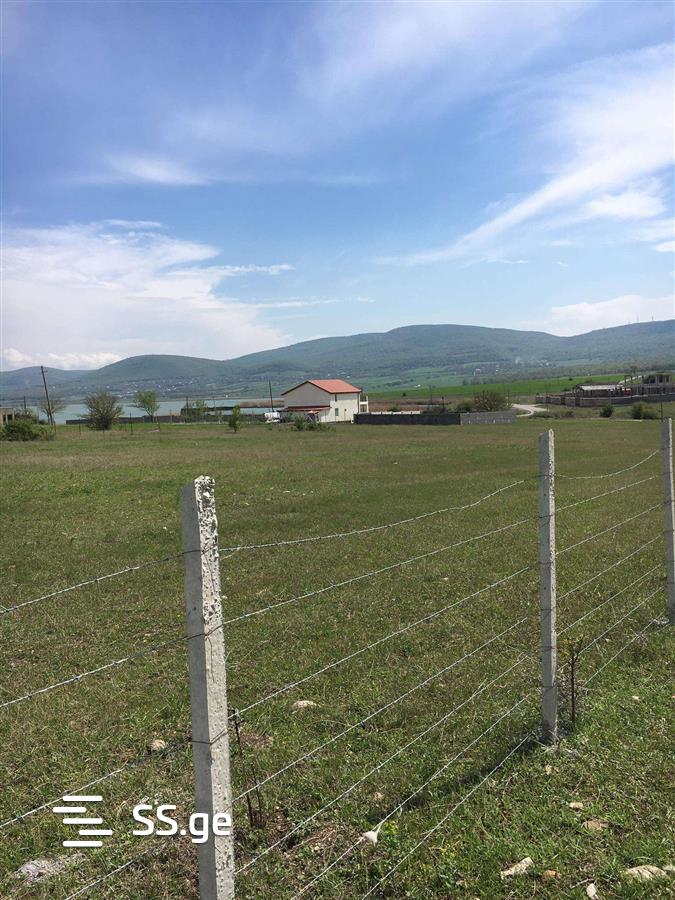 Land For Sale. Bazaleti view 9