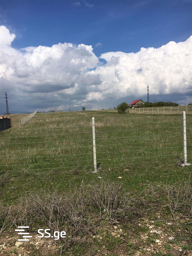 Land For Sale. Bazaleti view 5