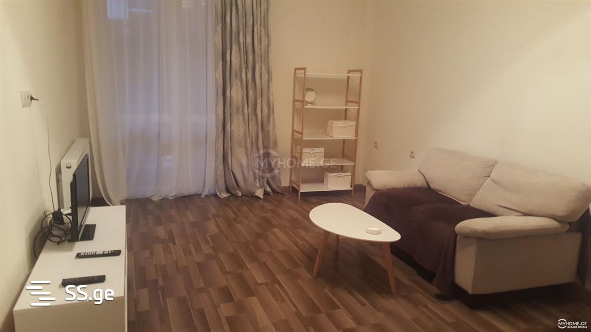 2 Room Flat Daily Rent. Nadzaladevi view 4