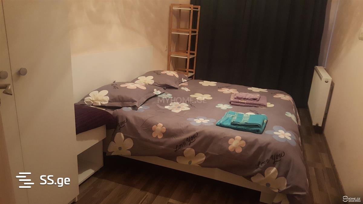 2 Room Flat Daily Rent. Nadzaladevi view 3