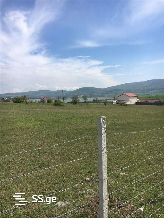 Land For Sale. Bazaleti view 8
