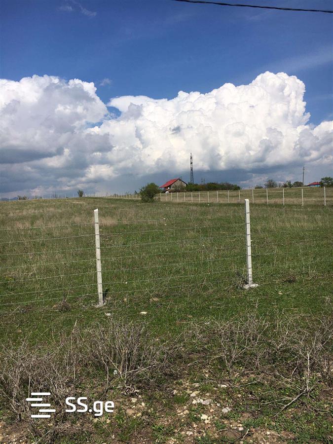 Land For Sale. Bazaleti view 6