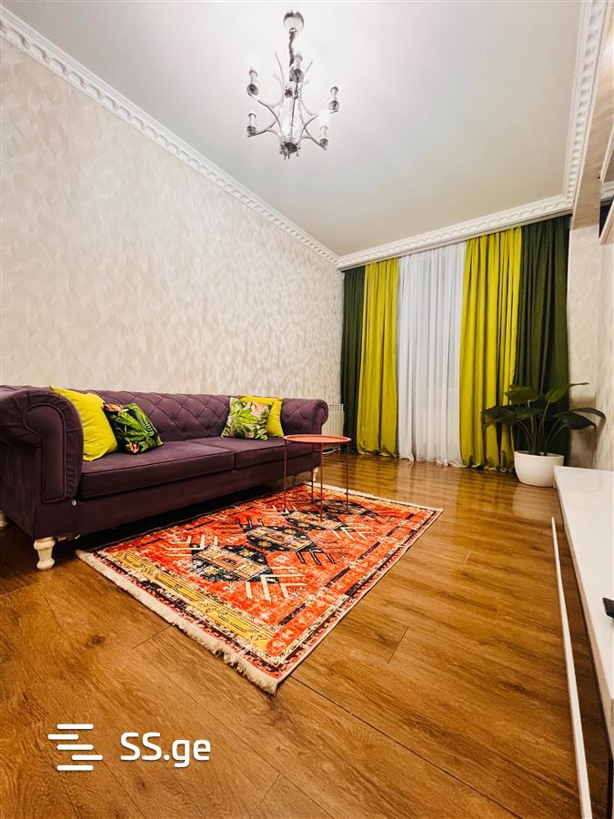 3 Room Flat Daily Rent. Vake view 10