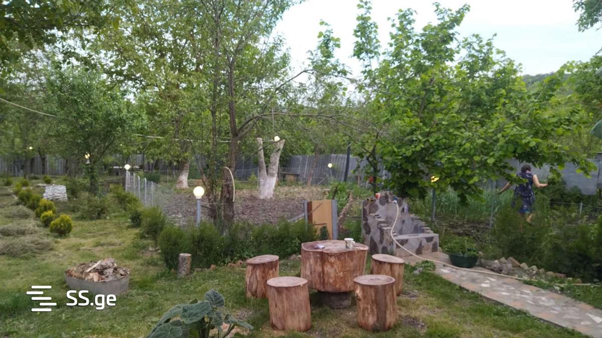 5 Room Summer Cottage Daily Rent. Tianeti view 10