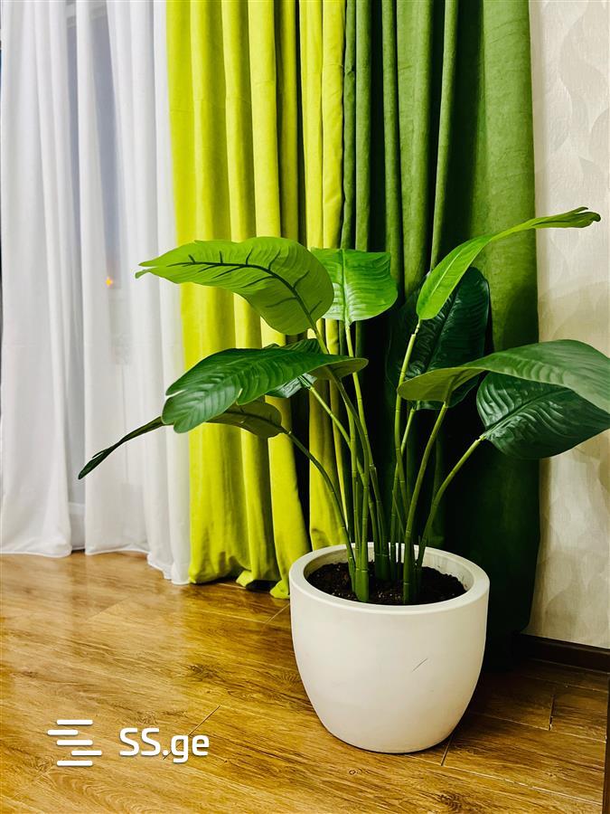 3 Room Flat Daily Rent. Vake view 5