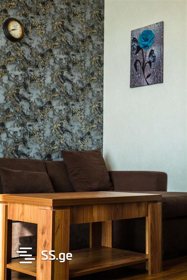 2 Room Flat Daily Rent. Isani view 3