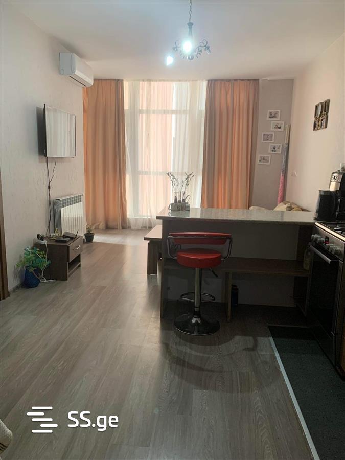 3 Room Flat Daily Rent. Batumi view 11