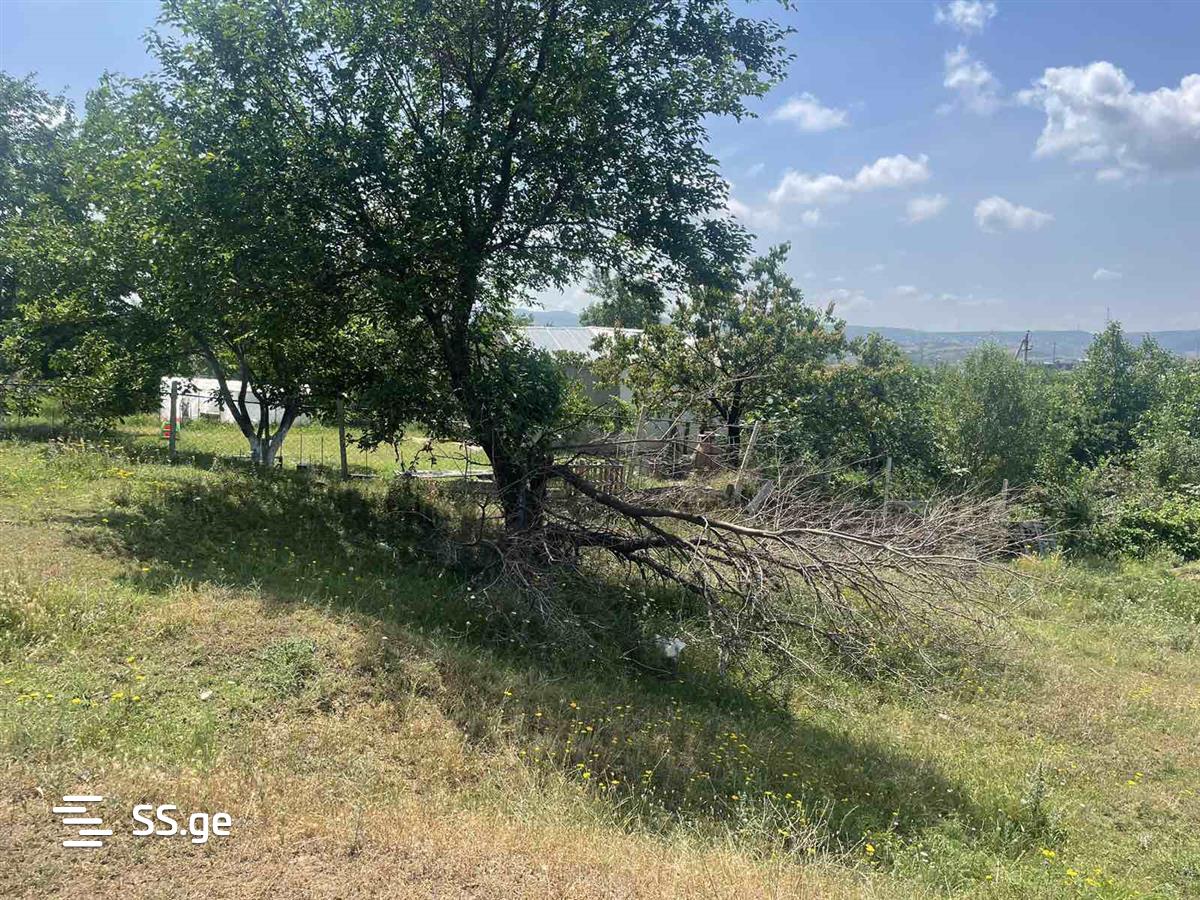 Land For Sale. Gldani Village view 4
