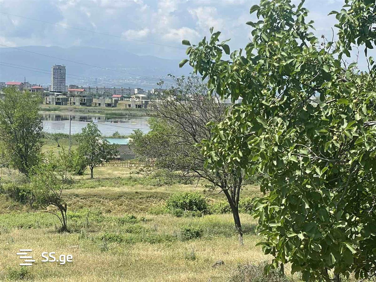 Land For Sale. Gldani Village view 5