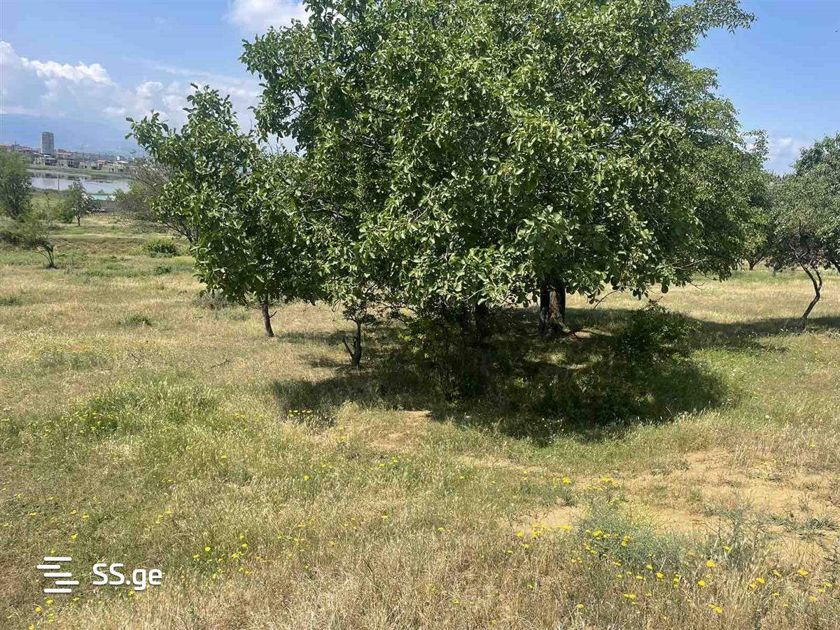 Land For Sale. Gldani Village view 11