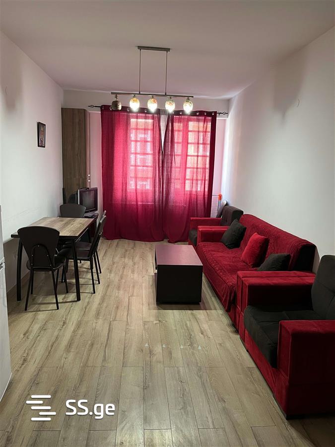 2 Room Flat For Rent. Bakuriani view 5