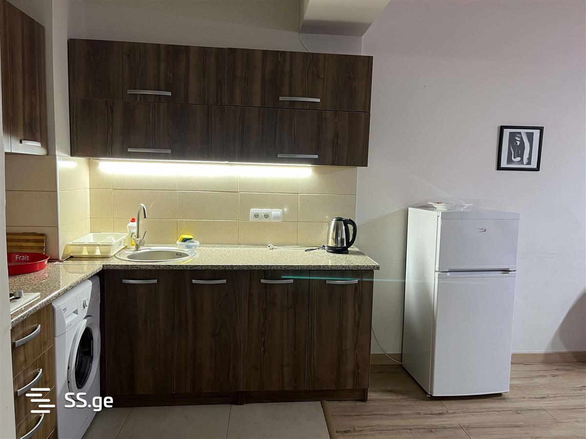 2 Room Flat For Rent. Bakuriani view 2