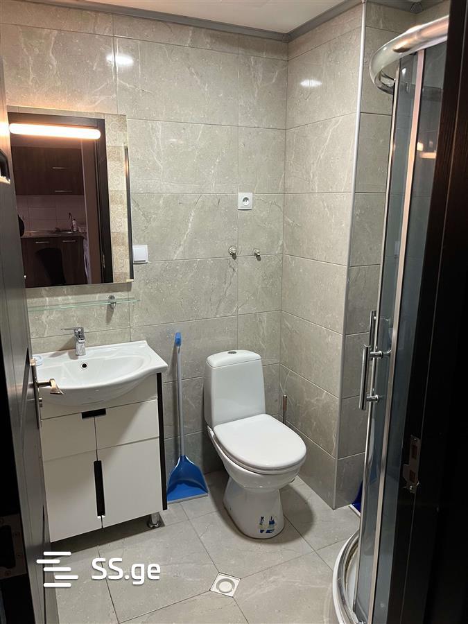 2 Room Flat For Rent. Bakuriani view 7