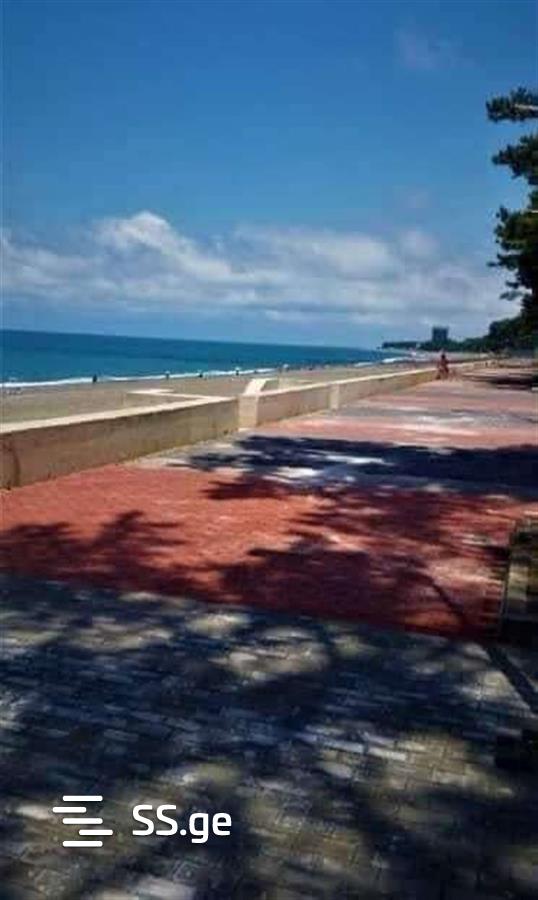 1 Room Flat Daily Rent. Kobuleti view 12