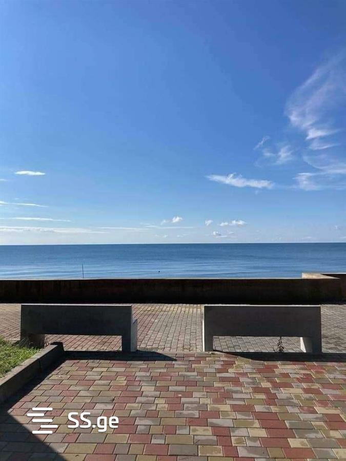 1 Room Flat Daily Rent. Kobuleti view 9