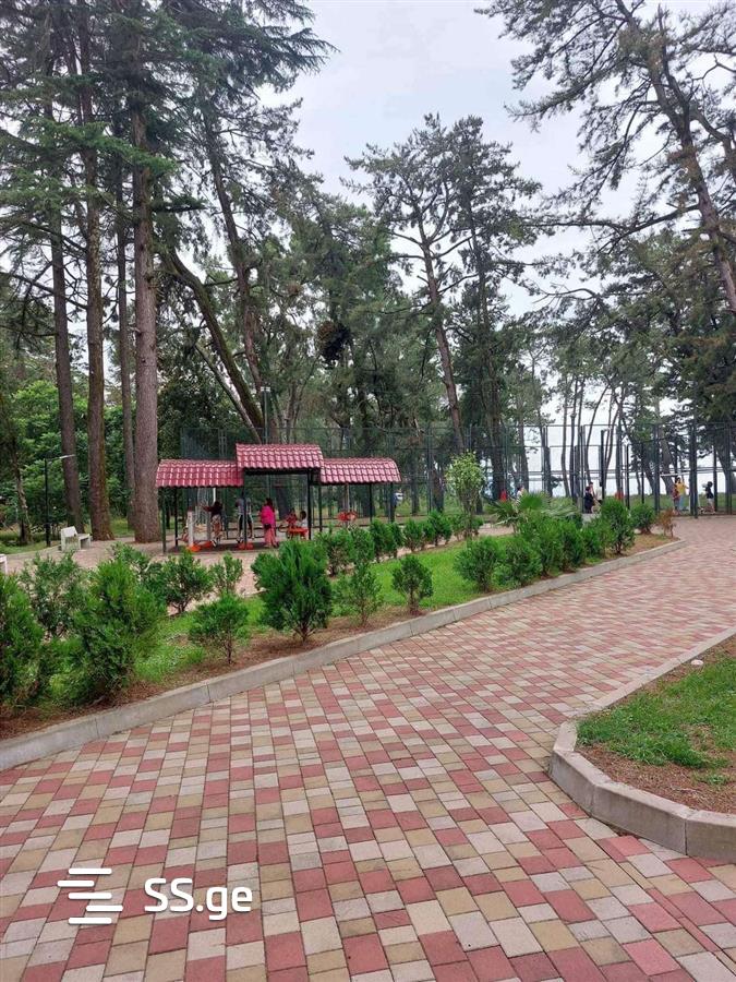 1 Room Flat Daily Rent. Kobuleti view 6