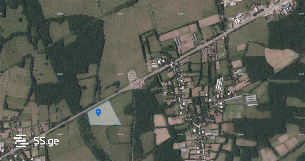 Agricultural Plot For Sale In Partskhanakanevi, In Tskaltubo Municipality view 4