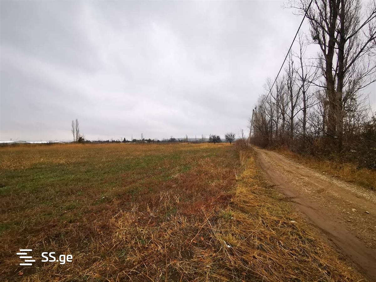 Land For Sale. Gardabani, 2 of 4
