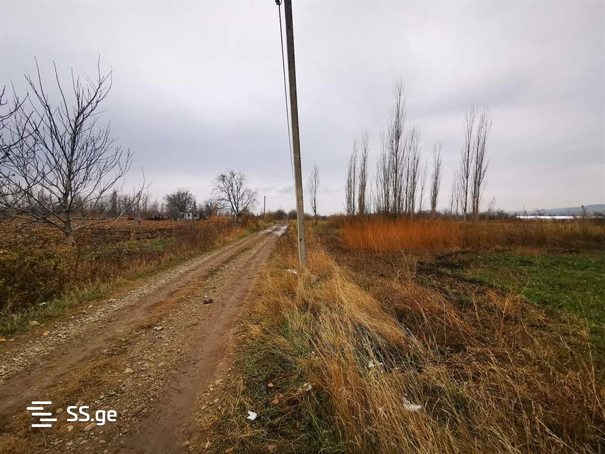 Land For Sale. Gardabani, 4 of 4