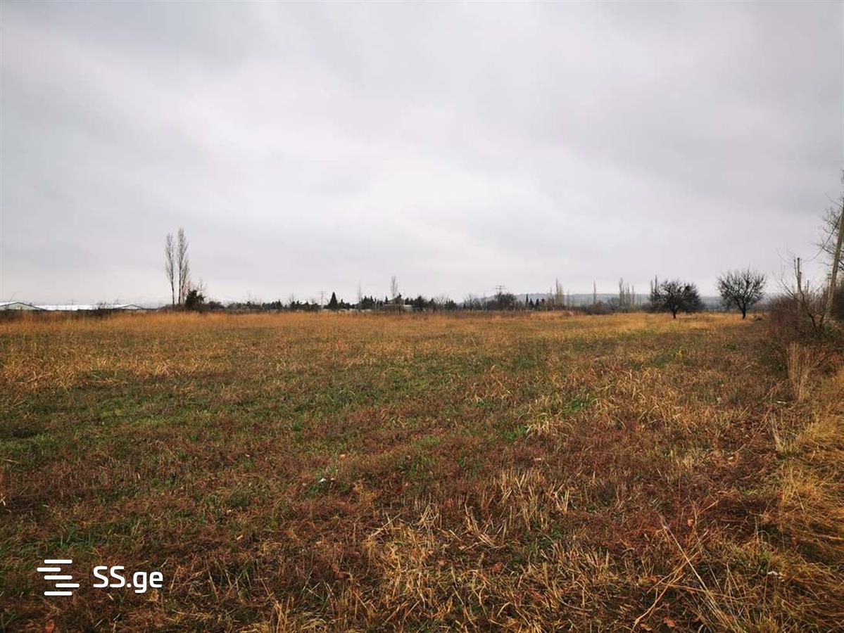 Land For Sale. Gardabani, 1 of 4