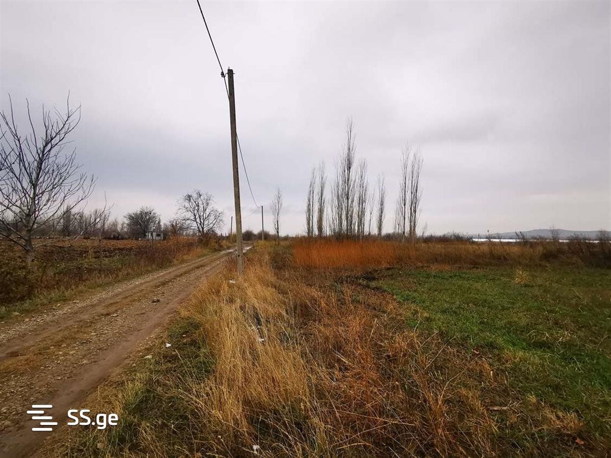 Land For Sale. Gardabani, 3 of 4