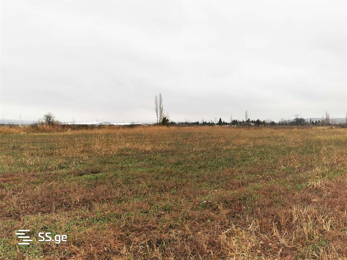 Продажа Земля в гардабани view 5