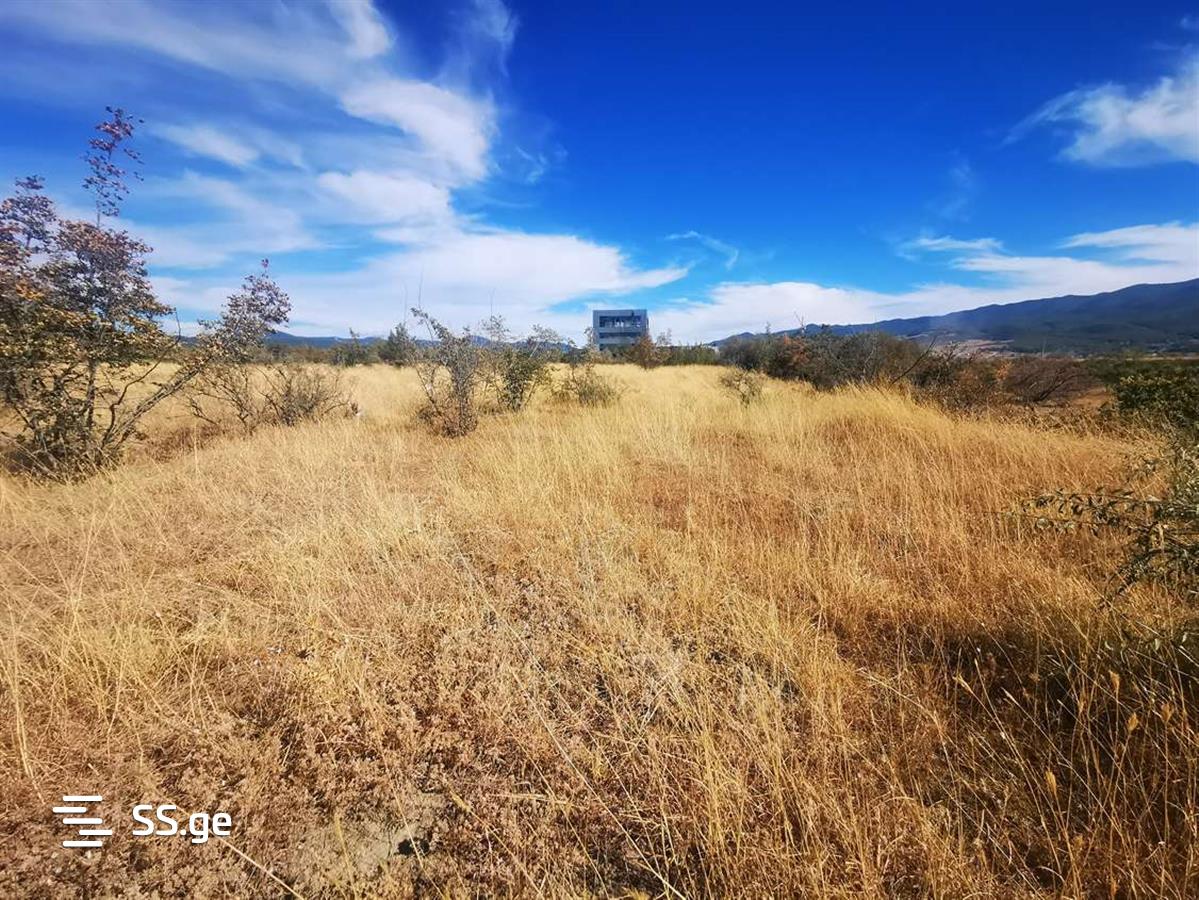 Land For Sale. Saguramo