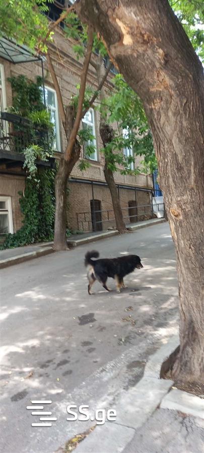 2 Room Flat For Sale view 3