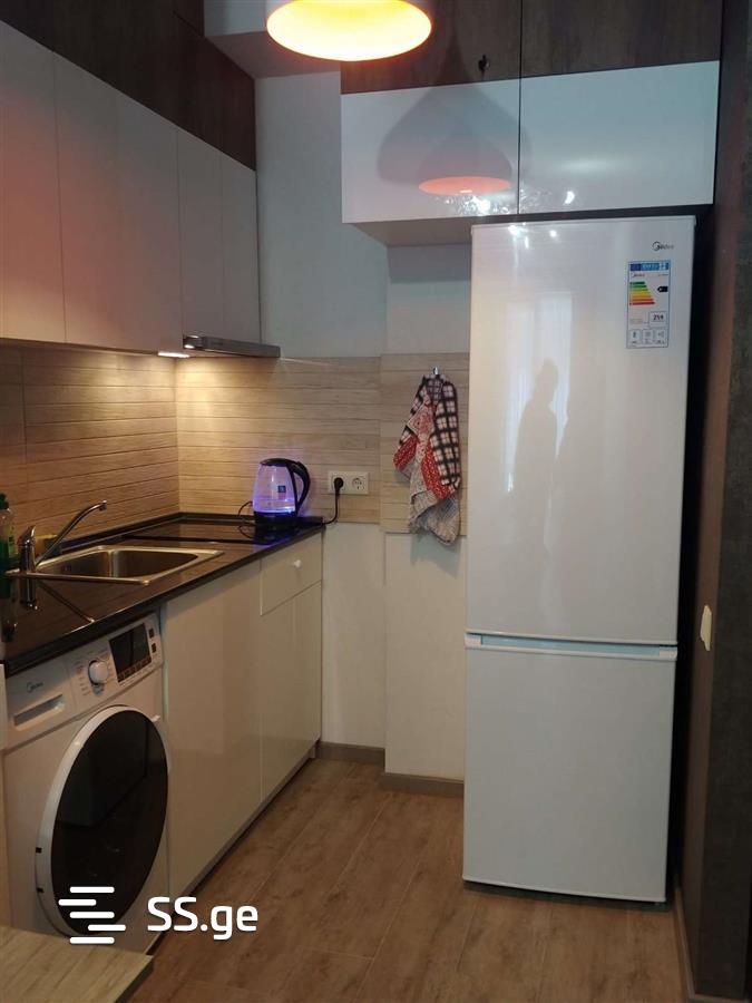 2 Room Flat For Rent. Bakuriani view 12