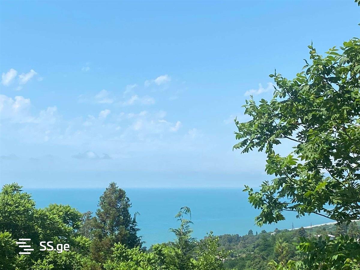იყიდება მიწა ციხისძირიში view 1