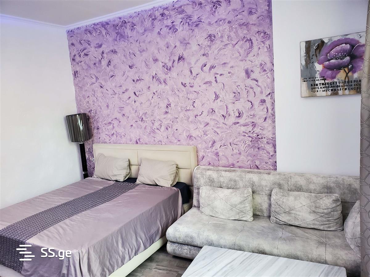 1 Room Flat Daily Rent. Saburtalo, 11 of 11