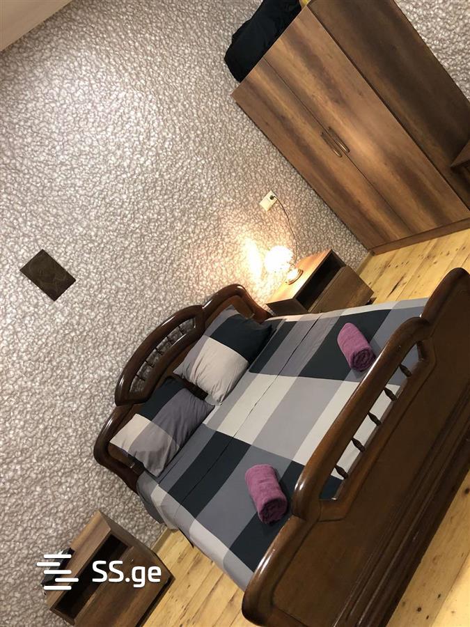 1 Room Flat Daily Rent. Chugureti view 1