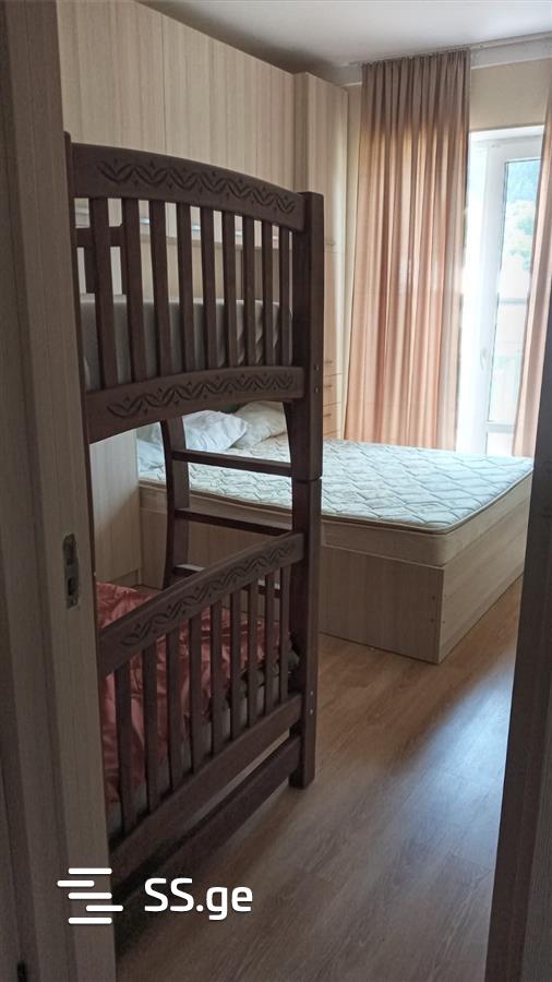 2 Room Flat Daily Rent. Borjomi view 6