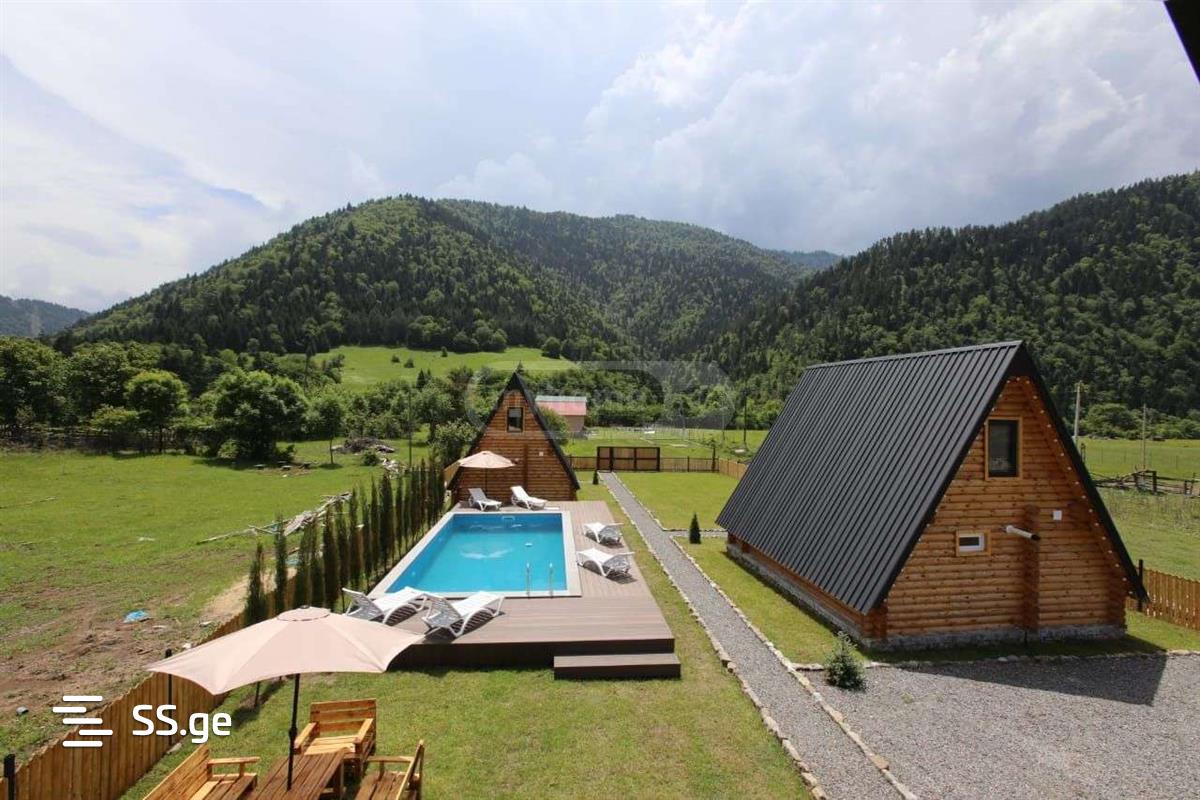 3 Room Summer Cottage Daily Rent. Borjomi view 1