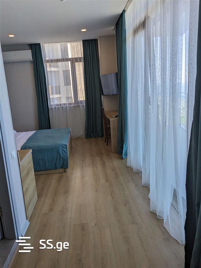 1 Room Flat Daily Rent. Batumi view 7