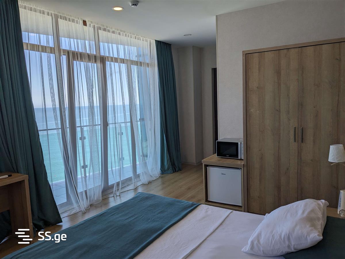 1 Room Flat Daily Rent. Batumi view 12
