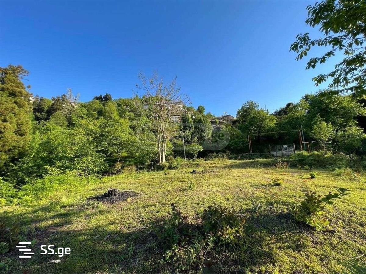 Land For Sale. Batumi view 1