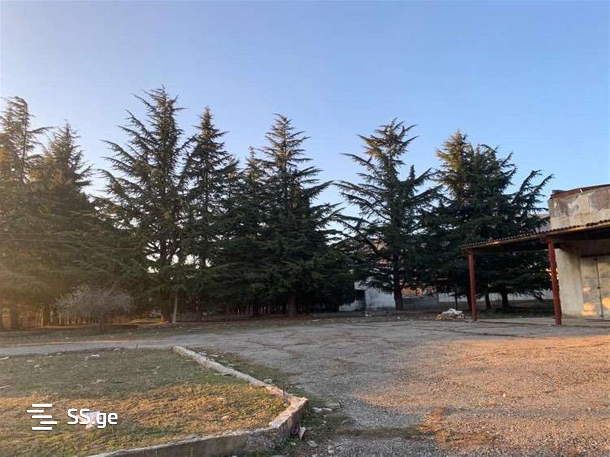 Commercial Real Estate For Sale. Sagarejo view 6