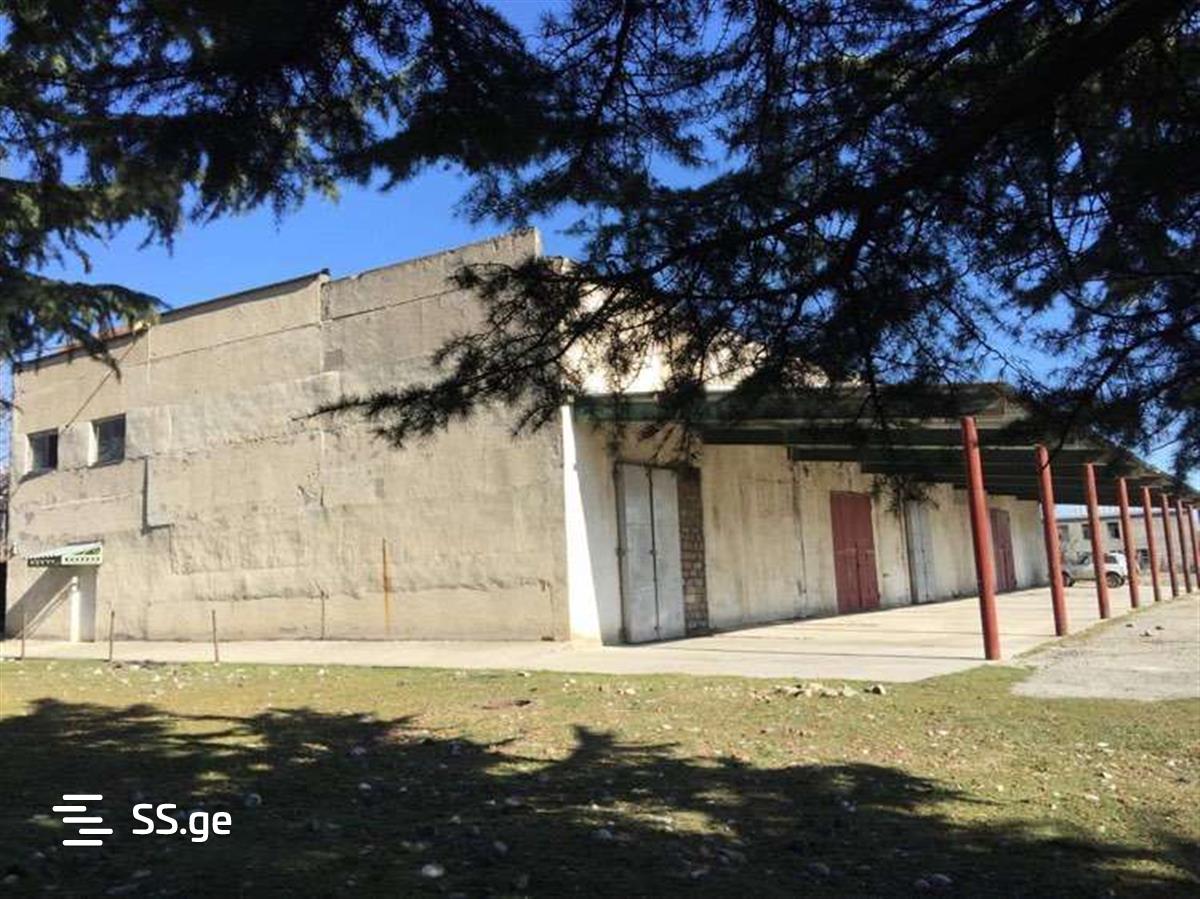 Store/Industrial Property For Sale. Sagarejo view 10