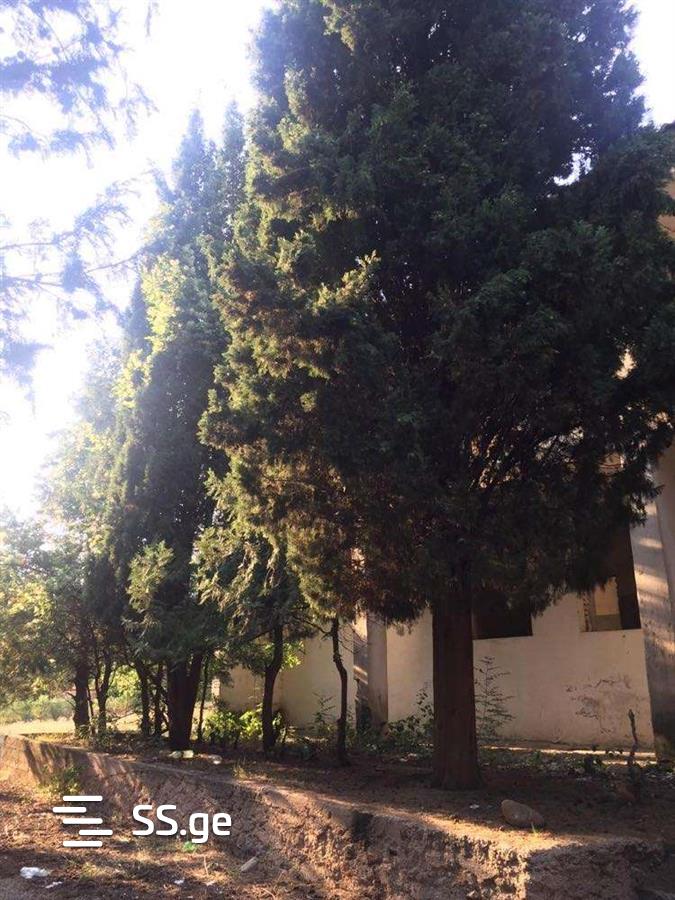 Commercial Real Estate For Sale. Sagarejo view 2