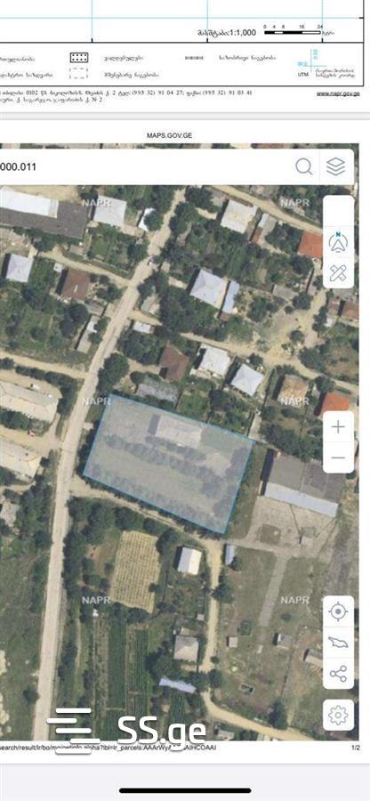Commercial Real Estate For Sale. Sagarejo view 10