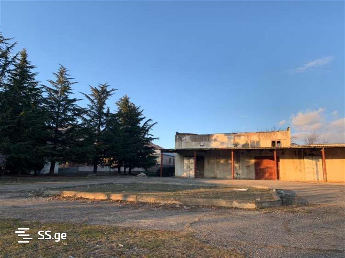 Store/Industrial Property For Sale. Sagarejo view 4
