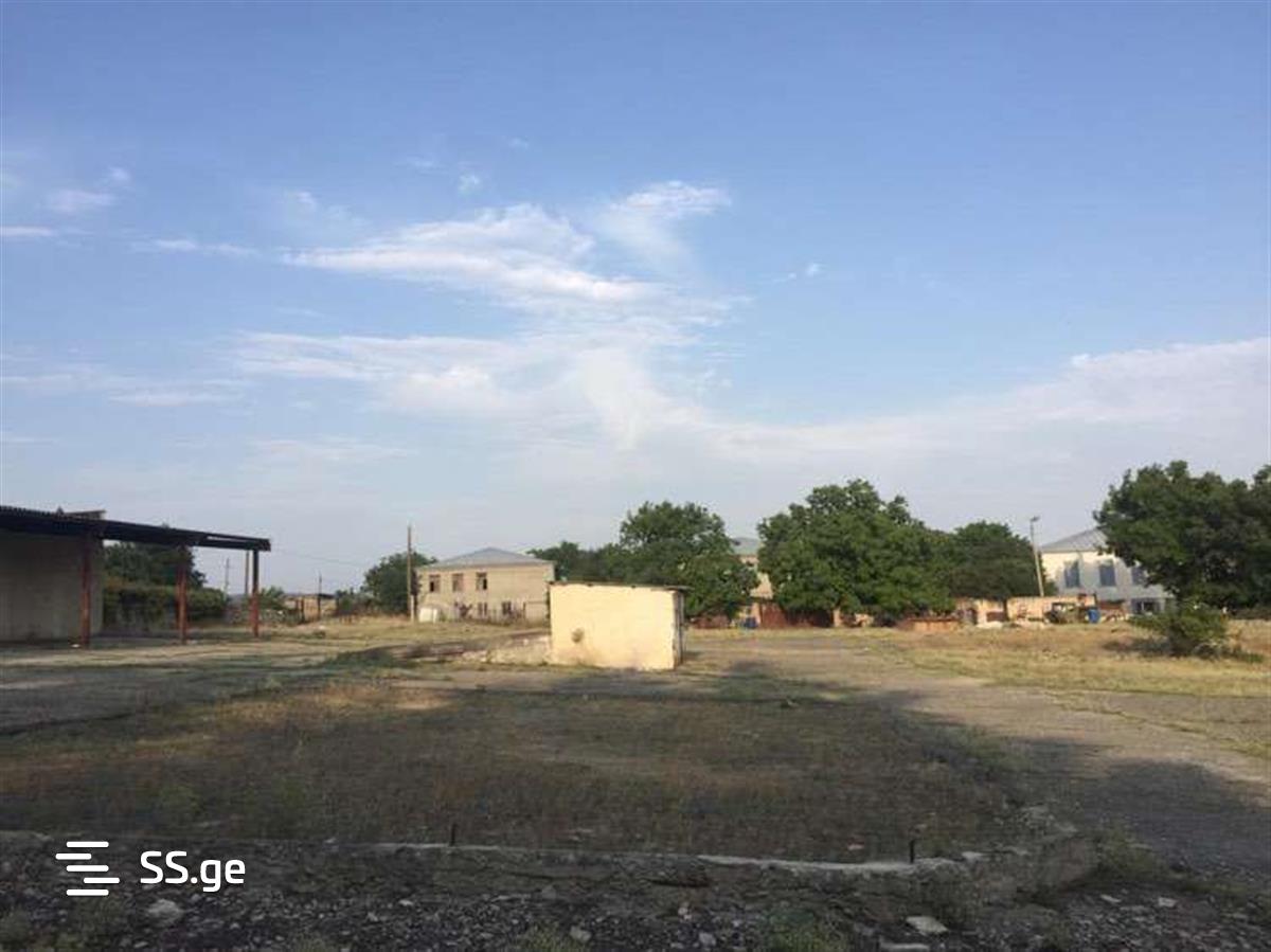 Store/Industrial Property For Sale. Sagarejo view 12
